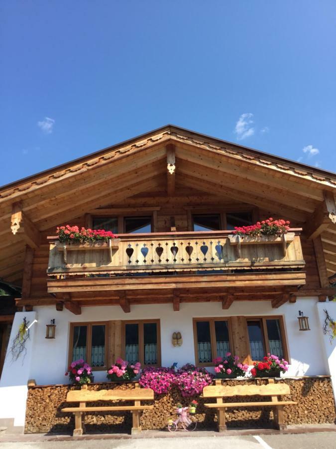 B&B Solder Chalet Dolomiti Саппада Екстер'єр фото